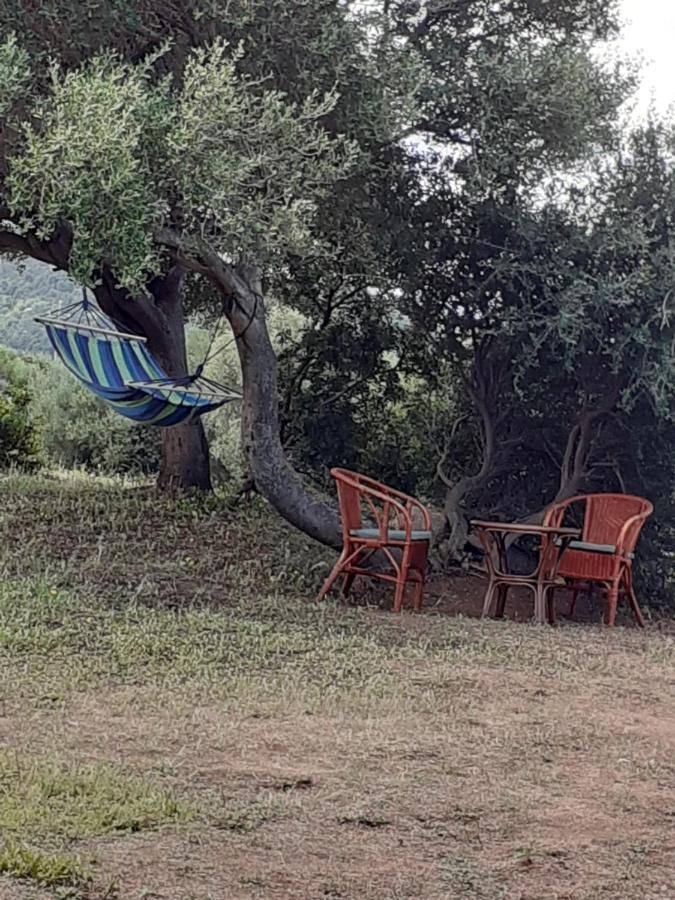 Gli Olivastri Con Piscina,Solarium, Vista Mare ,Sole -Mare E Tanta Natura ,Climatizzatore,Wifi Aglientu Εξωτερικό φωτογραφία