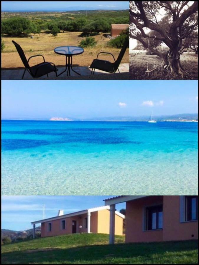 Gli Olivastri Con Piscina,Solarium, Vista Mare ,Sole -Mare E Tanta Natura ,Climatizzatore,Wifi Aglientu Εξωτερικό φωτογραφία